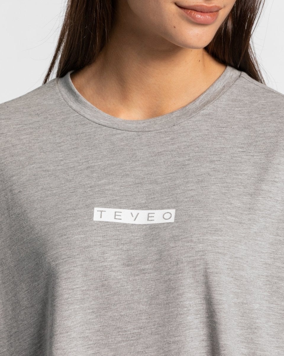 TEVEO Iconic Oversized T-Shirt Gray | IEZW-57283